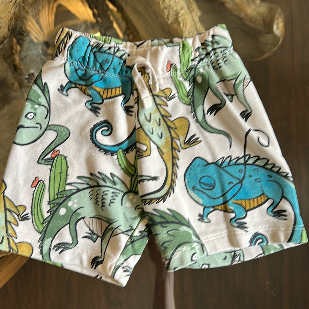 Boys H&M lizard shorts